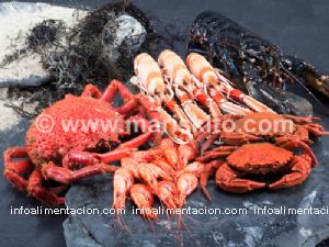 mariscada para 3-4 personas (mariscada n4)